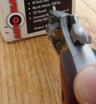 NAA mini-revolver with imaginary target