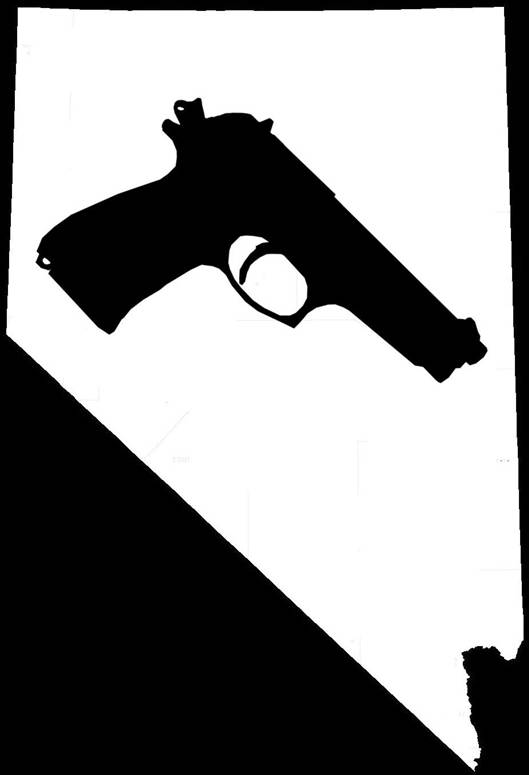 Nevada Gun Laws